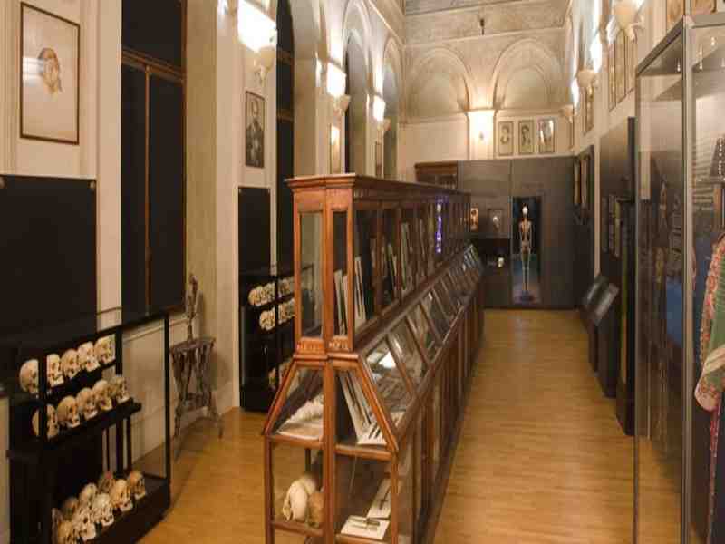 Museo di Antropologia Criminale Cesare Lombroso
