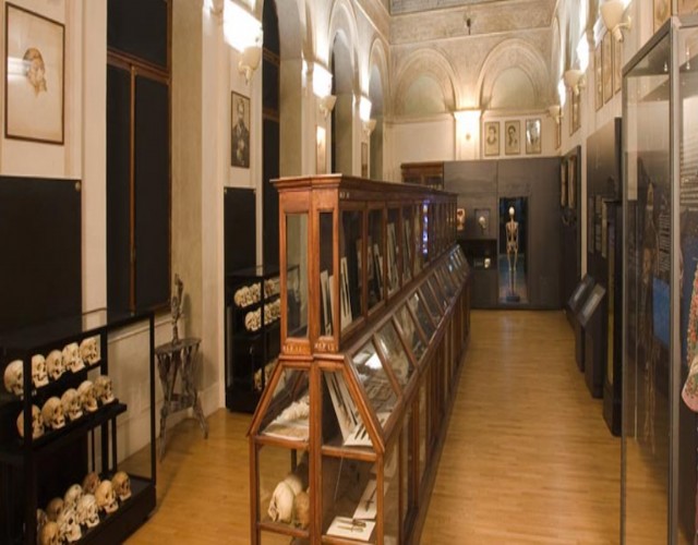 Apri: Museo di Antropologia Criminale Cesare Lombroso