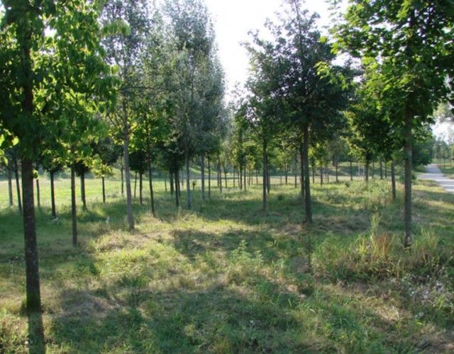 Apri: Parco del Meisino