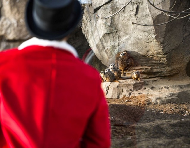 Il Natale 2023 bestiale del bioparco Zoom di Cumiana inizia l’8 dicembre