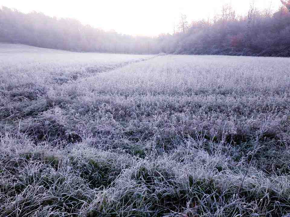 Brusco calo delle temperature durante il weekend anche di 15 gradi