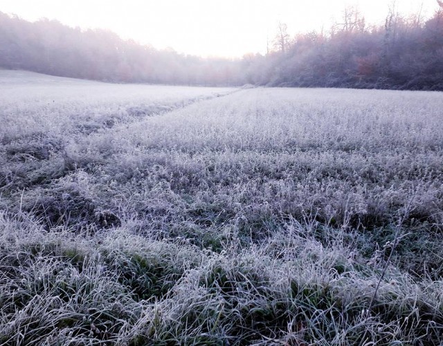 Brusco calo delle temperature durante il weekend anche di 15 gradi