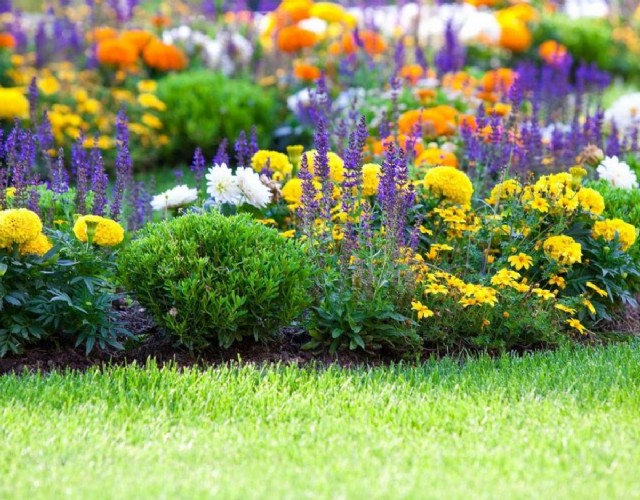 FLOR Primavera si terrà dal venerdì 23 a domenica 25 maggio presso i Giardini Reali di Torino