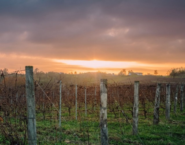 “Il Re del Mosto – Ovvero l’Uomo che Inventò la Barbera” a Rocchetta Tanaro