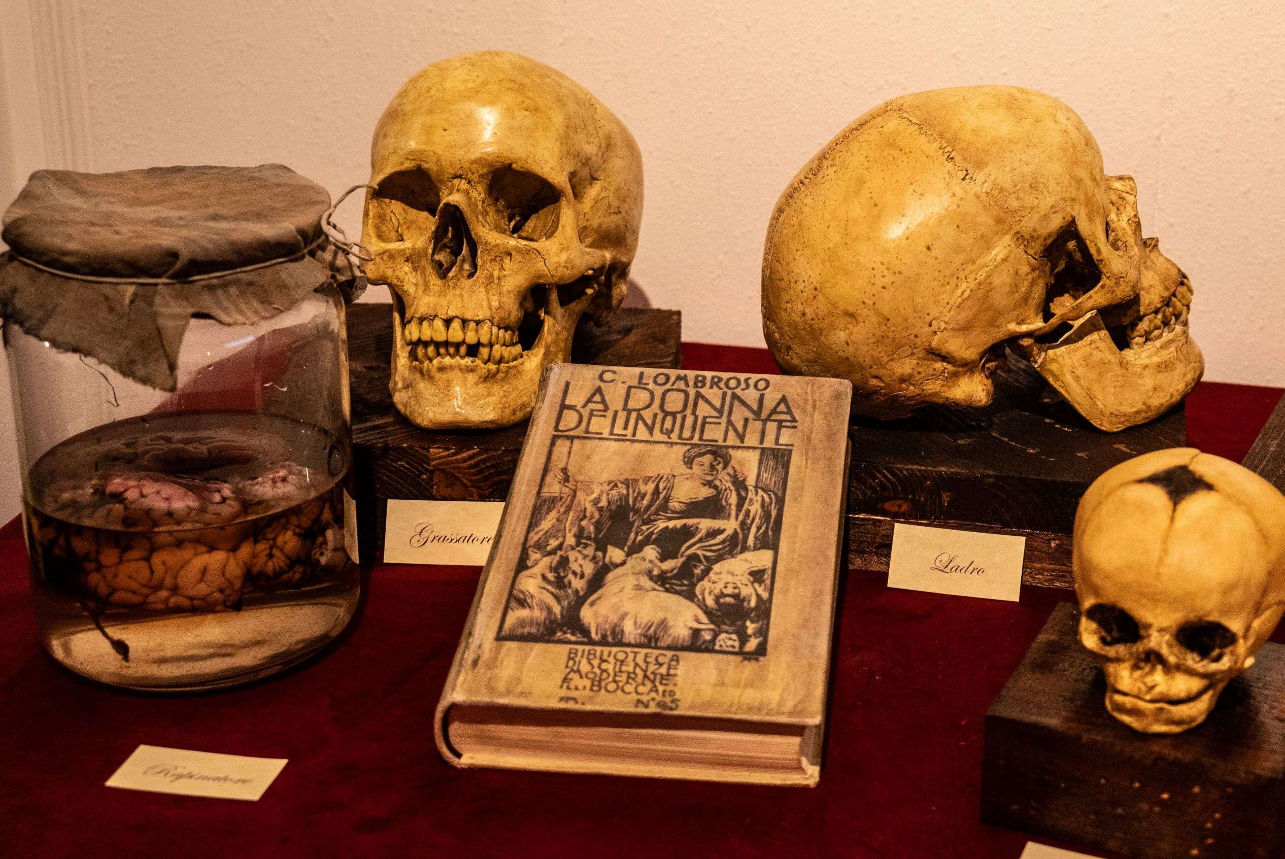 Dentro la mente dei criminali: a Torino nasce il Serial Killer Museum
