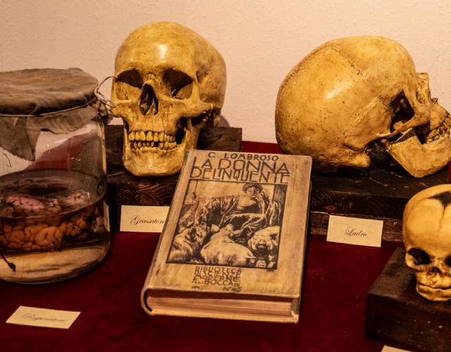 Dentro la mente dei criminali: a Torino nasce il Serial Killer Museum