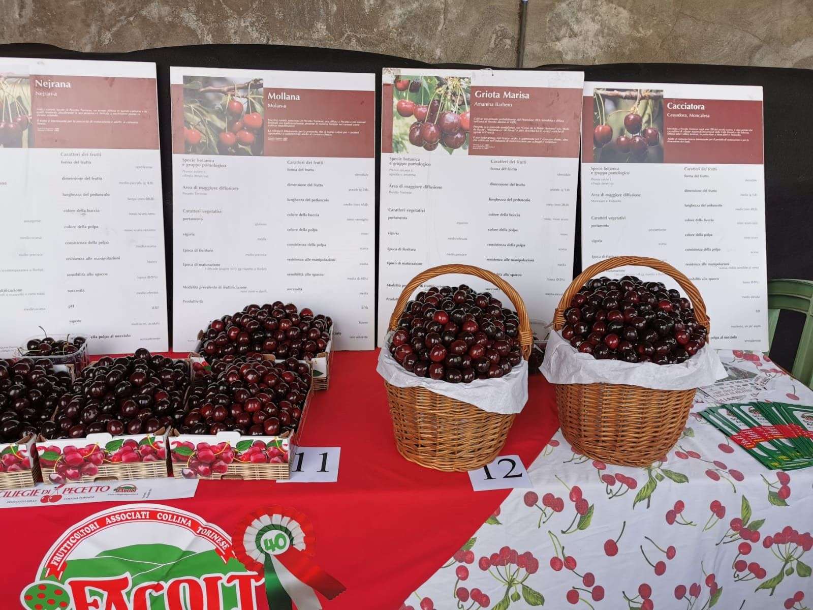 A Pecetto è tutto pronto per la 111ª edizione della tradizionale Festa delle ciliegie