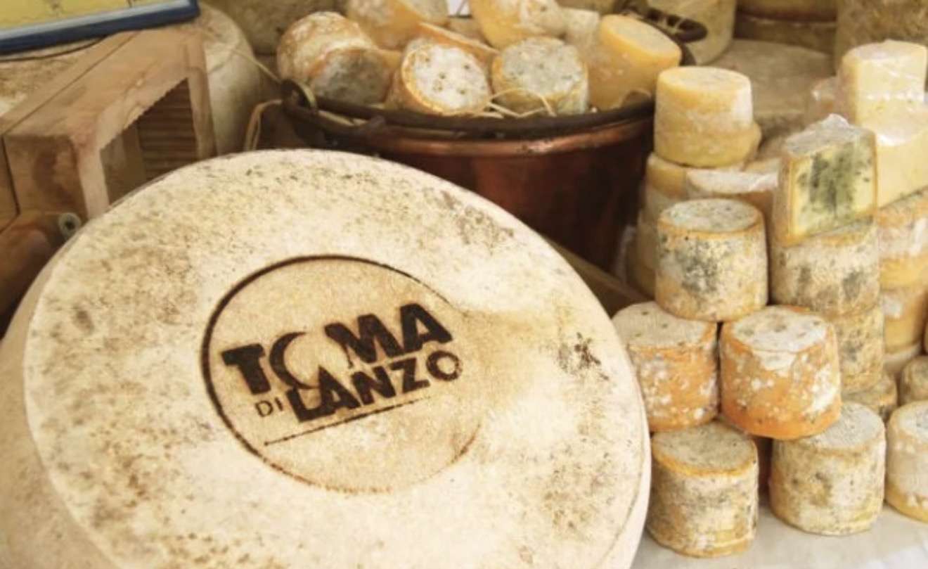 Mostra Nazionale della Toma di Lanzo®️ e dei formaggi d’alpeggio: cresce l’attesa