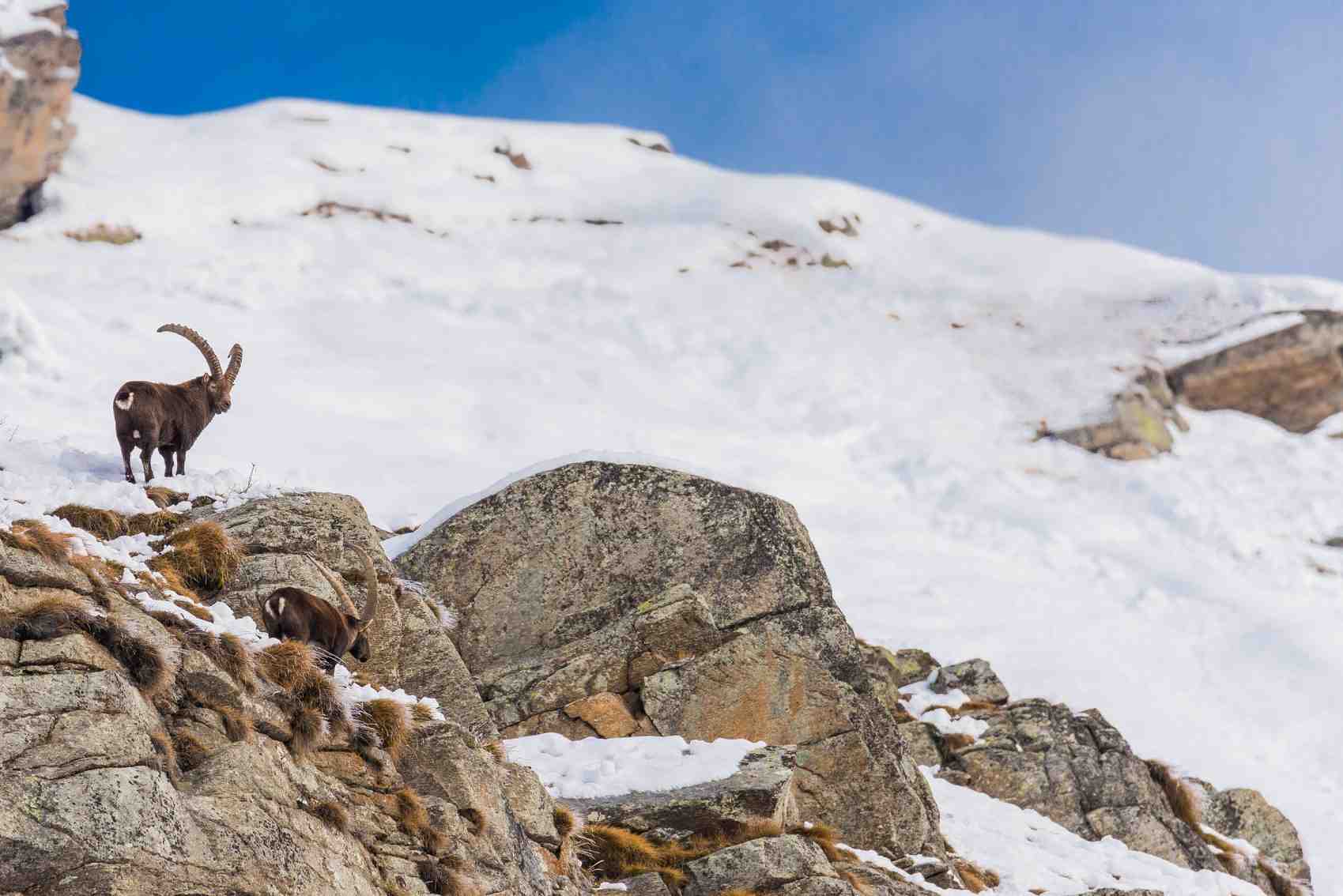 Meteo capriccioso: fino a venerdì sul Piemonte soffierà il vento foehn