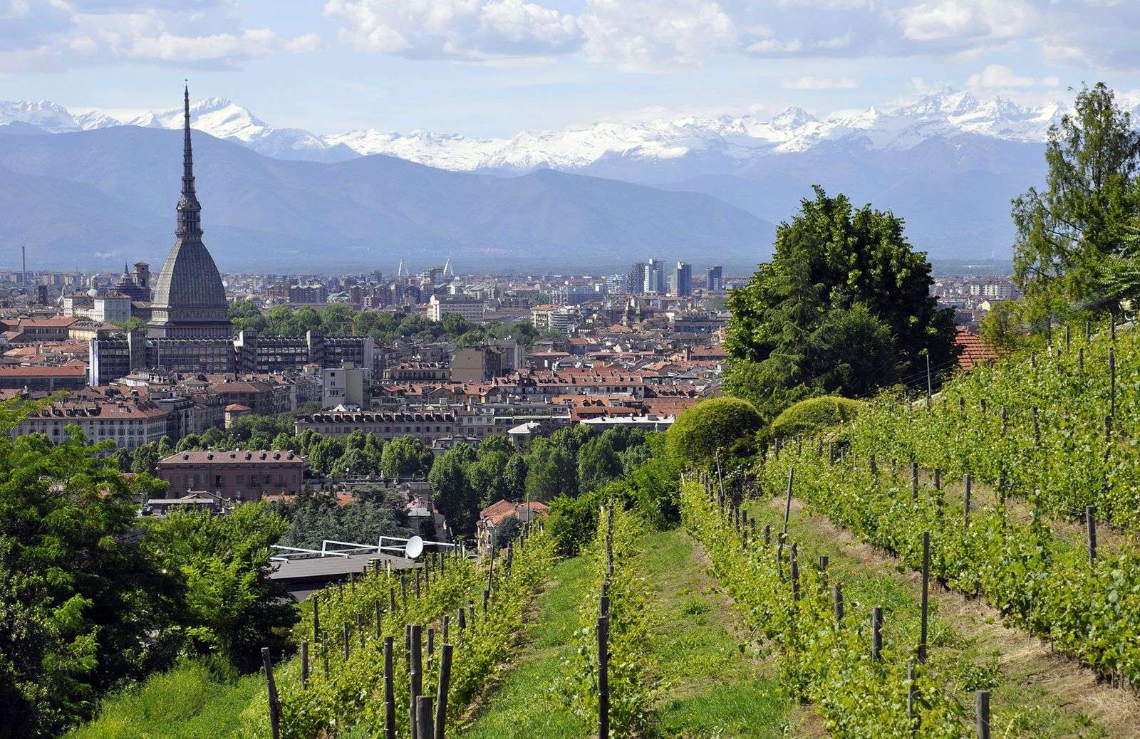 Dopo i libri andati a ruba al Salone adesso per Torino è tempo di degustazioni con il frutto di Bacco