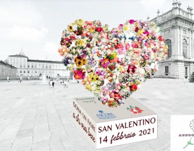 Un cuore fatto di rose in piazza Castello per avvicinare i torinesi a San Valentino