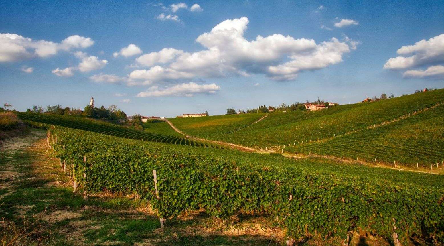 I racconti dei vini si chiudono con due appuntamenti delle Enoteche Regionali del Piemonte
