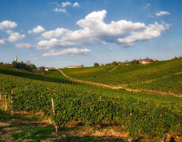 I racconti dei vini si chiudono con due appuntamenti delle Enoteche Regionali del Piemonte