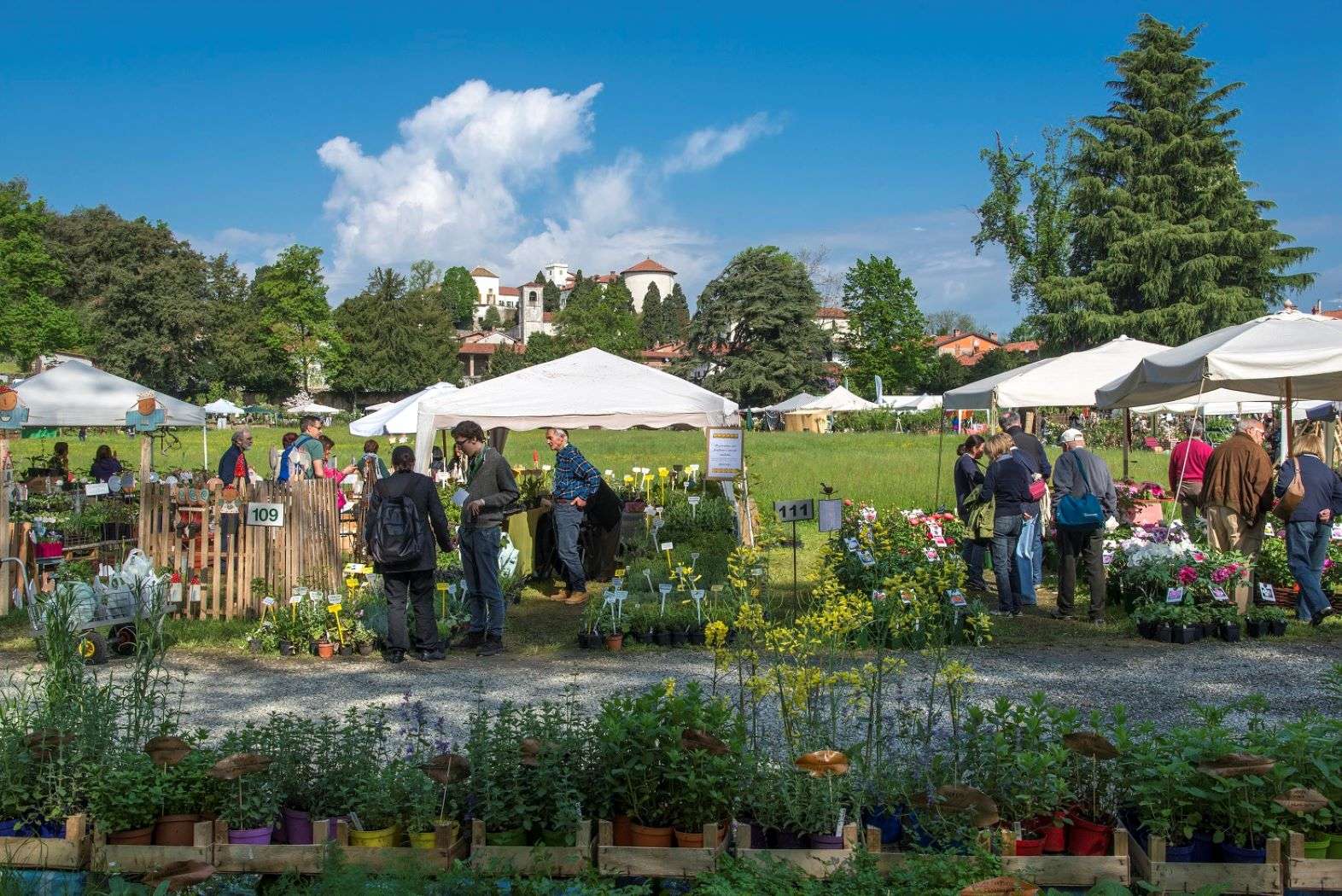 In Piemonte è sempre più primavera: torna la “Tre giorni per il giardino”