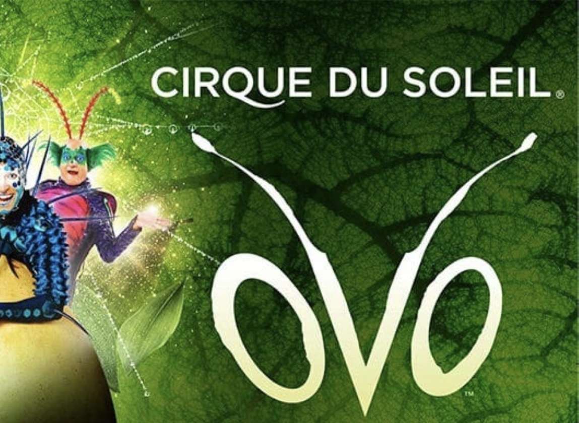 Cirque du Soleil, tutto pronto al PalaAlpitour: arriva “Ovo”, il nuovo spettacolo