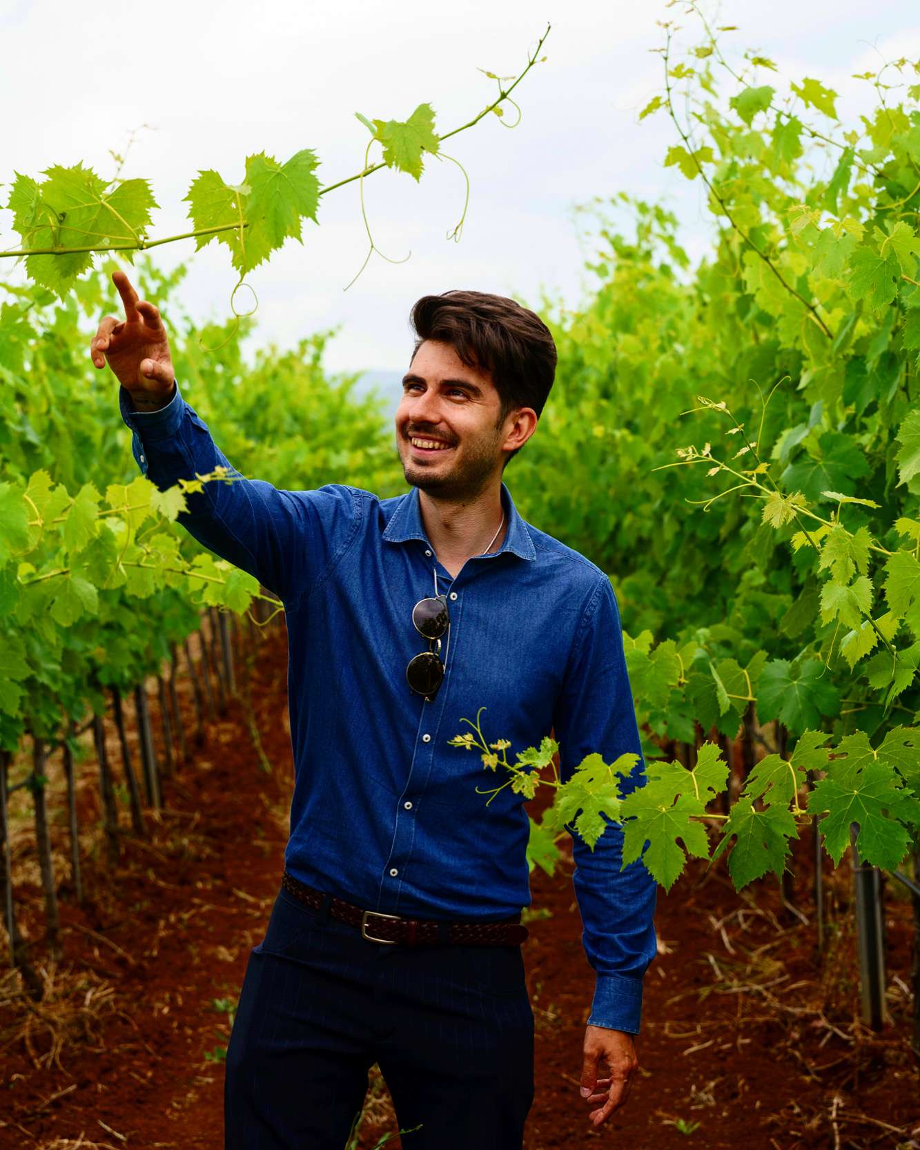 La Romagna, il Sangiovese, tre vini: un altro viaggio del nostro Enoblogger