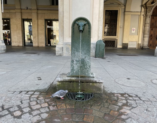 I Torèt: oltre 800 piccoli toretti color verde che regalano acqua pubblica a residenti e turisti