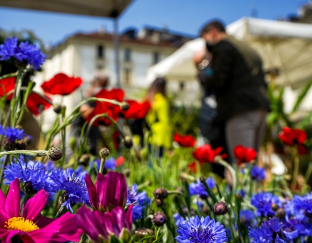 Agriflor anticipa la primavera torinese domenica 25 febbraio: natura e colori