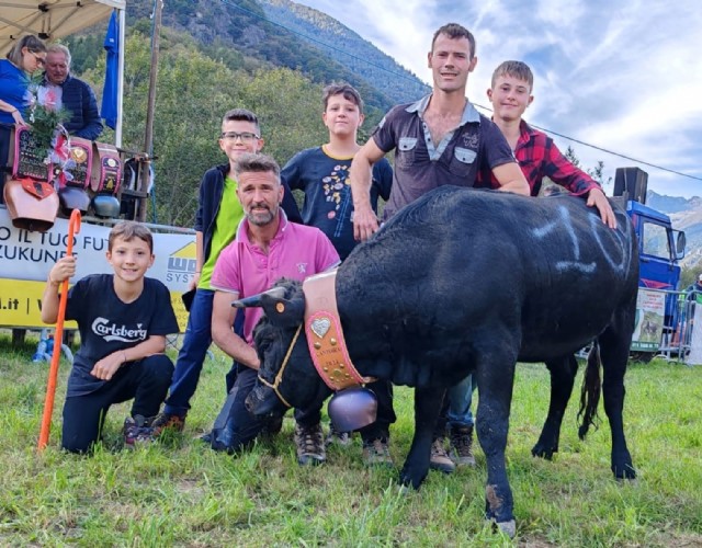 Ecco la Rejnes, ovvero, le mucche più belle delle Valli di Lanzo