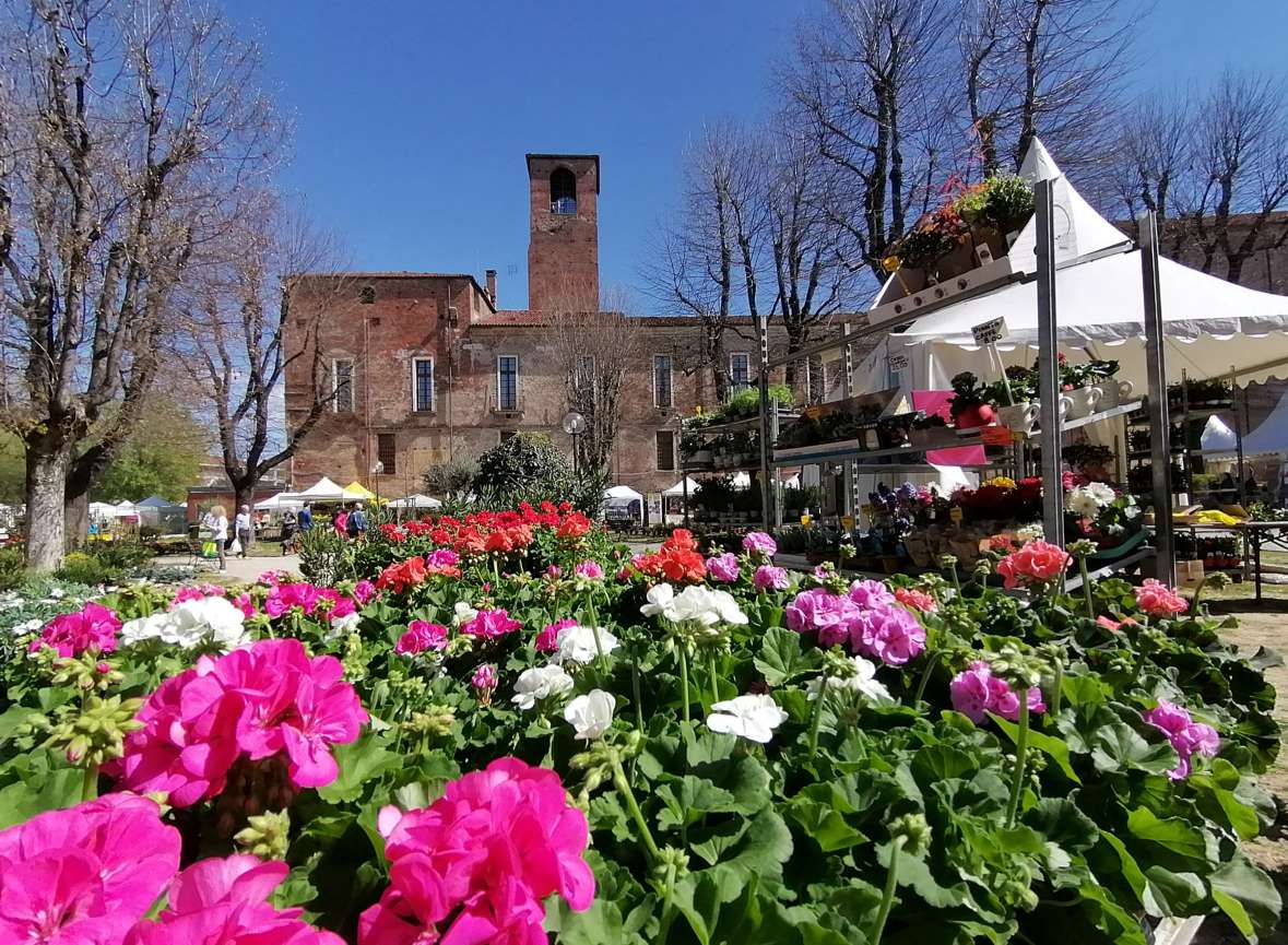 Ortoflora & Natura, l’universo agricolo si incontra a Carmagnola