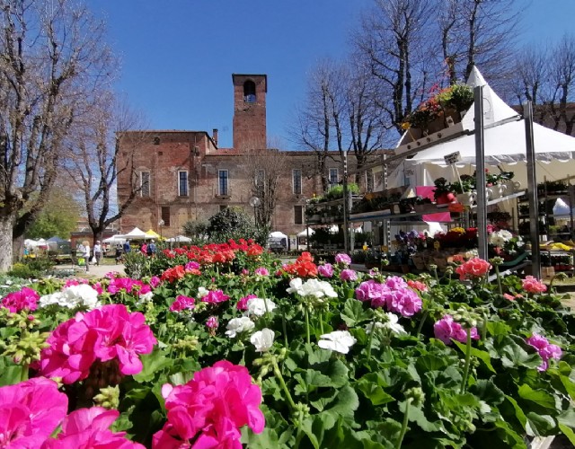 Ortoflora & Natura, l’universo agricolo si incontra a Carmagnola