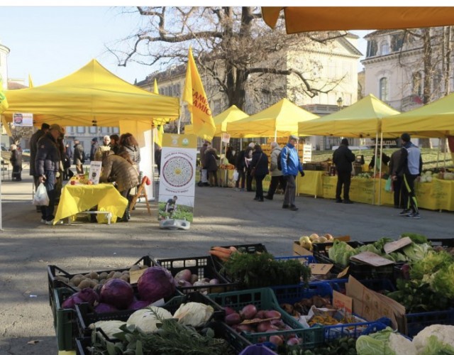 Campagna Amica: la domenica si tinge di giallo con il mercato della Coldiretti