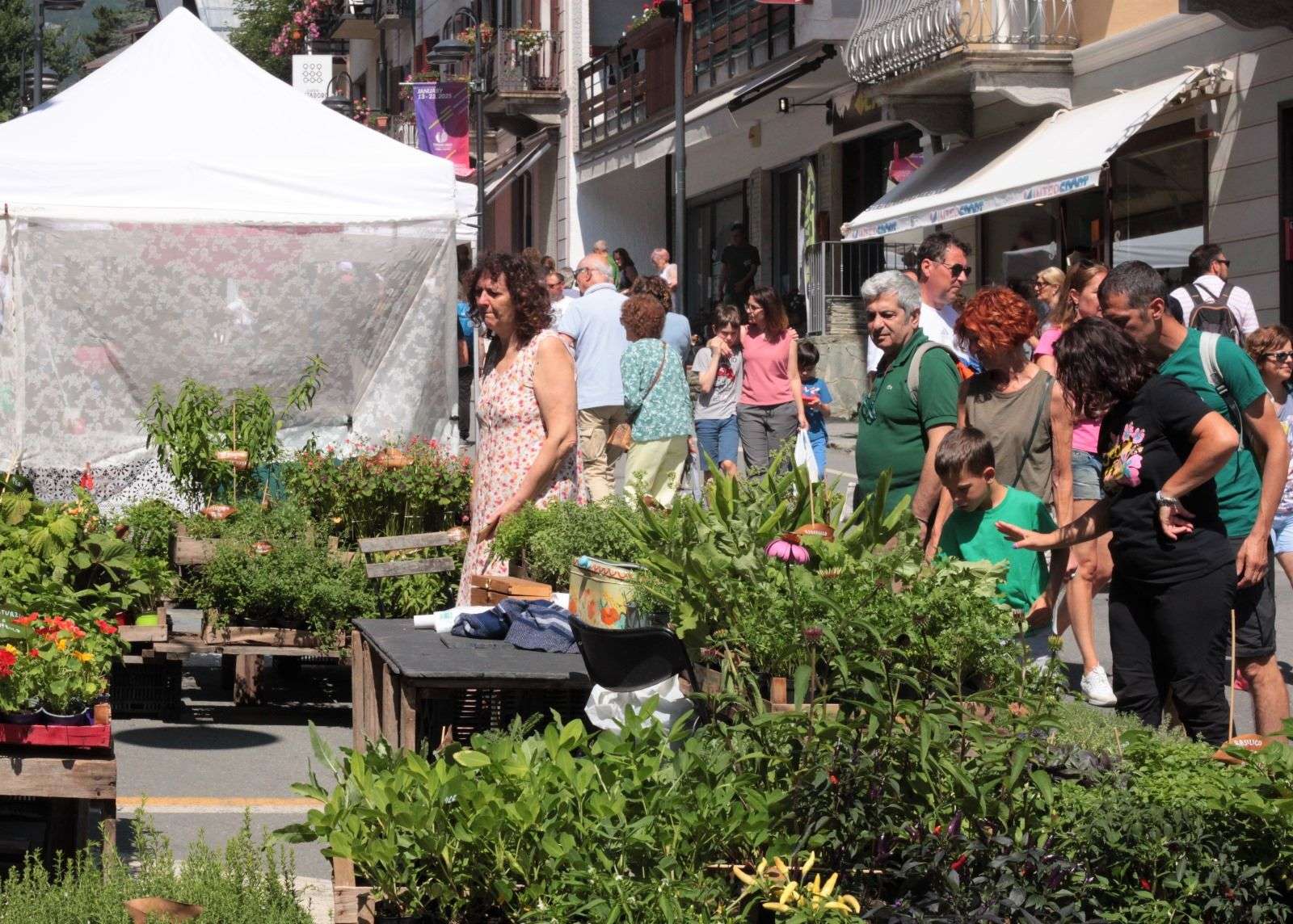Flor Estate e i suoi colori tornano a Bardonecchia domenica 13 luglio