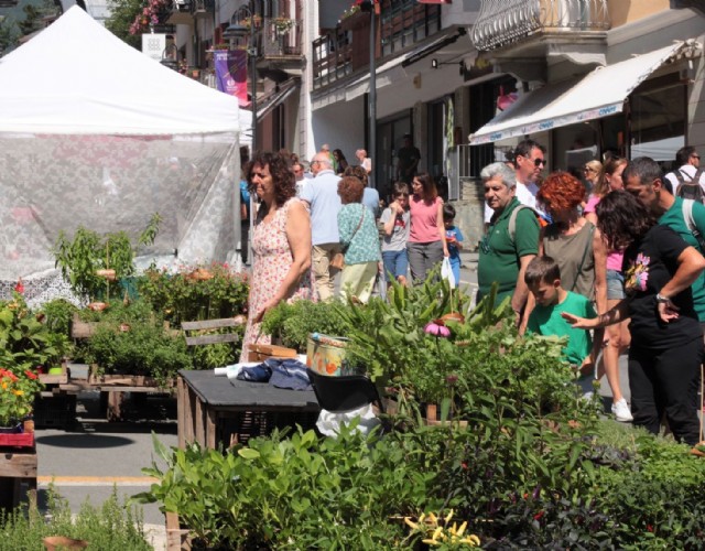 Flor Estate e i suoi colori tornano a Bardonecchia domenica 13 luglio