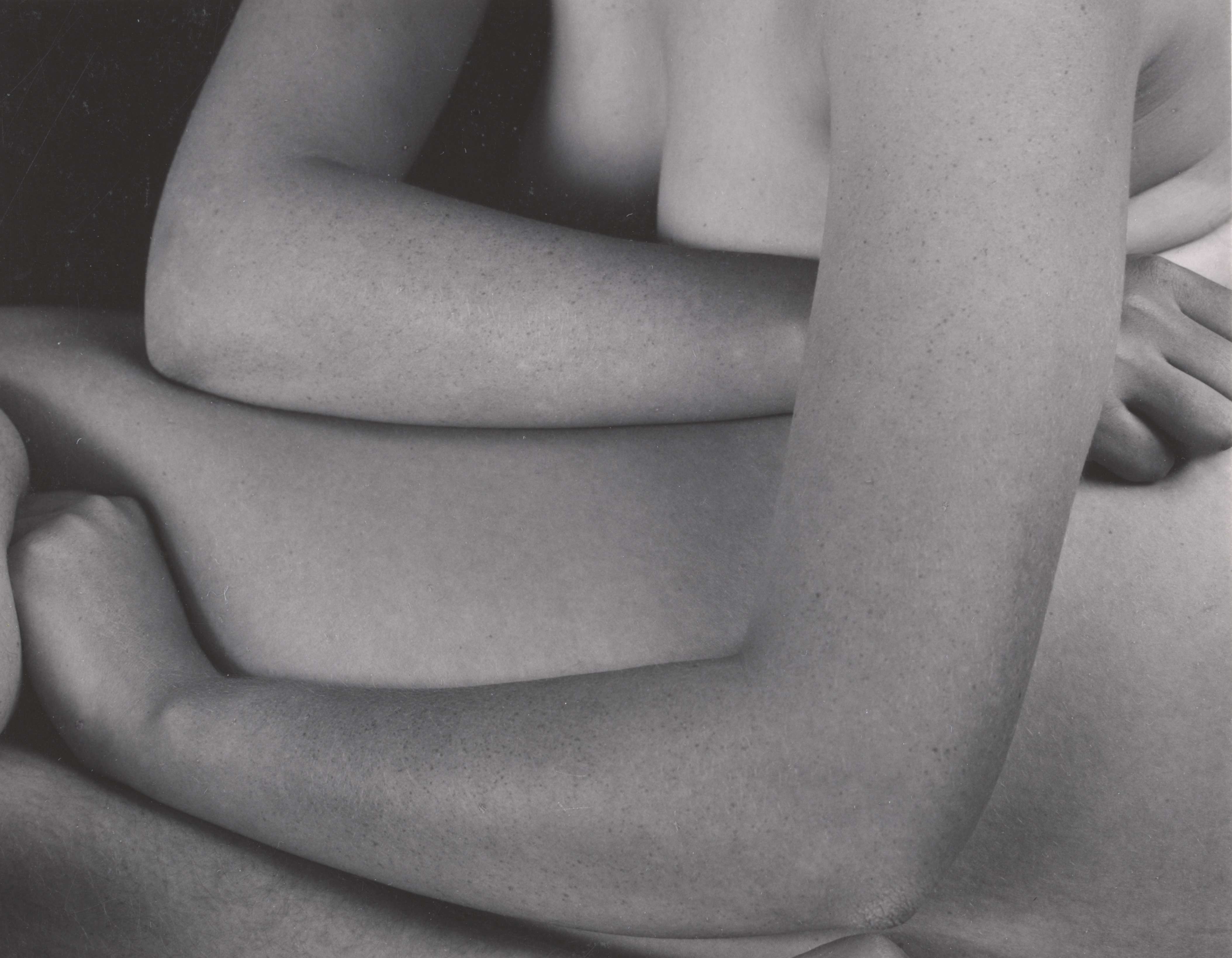 “Edward Weston. La materia delle forme”, Camera inizia alla grande la sua stagione 2026