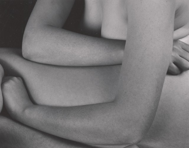 “Edward Weston. La materia delle forme”, Camera inizia alla grande la sua stagione 2026