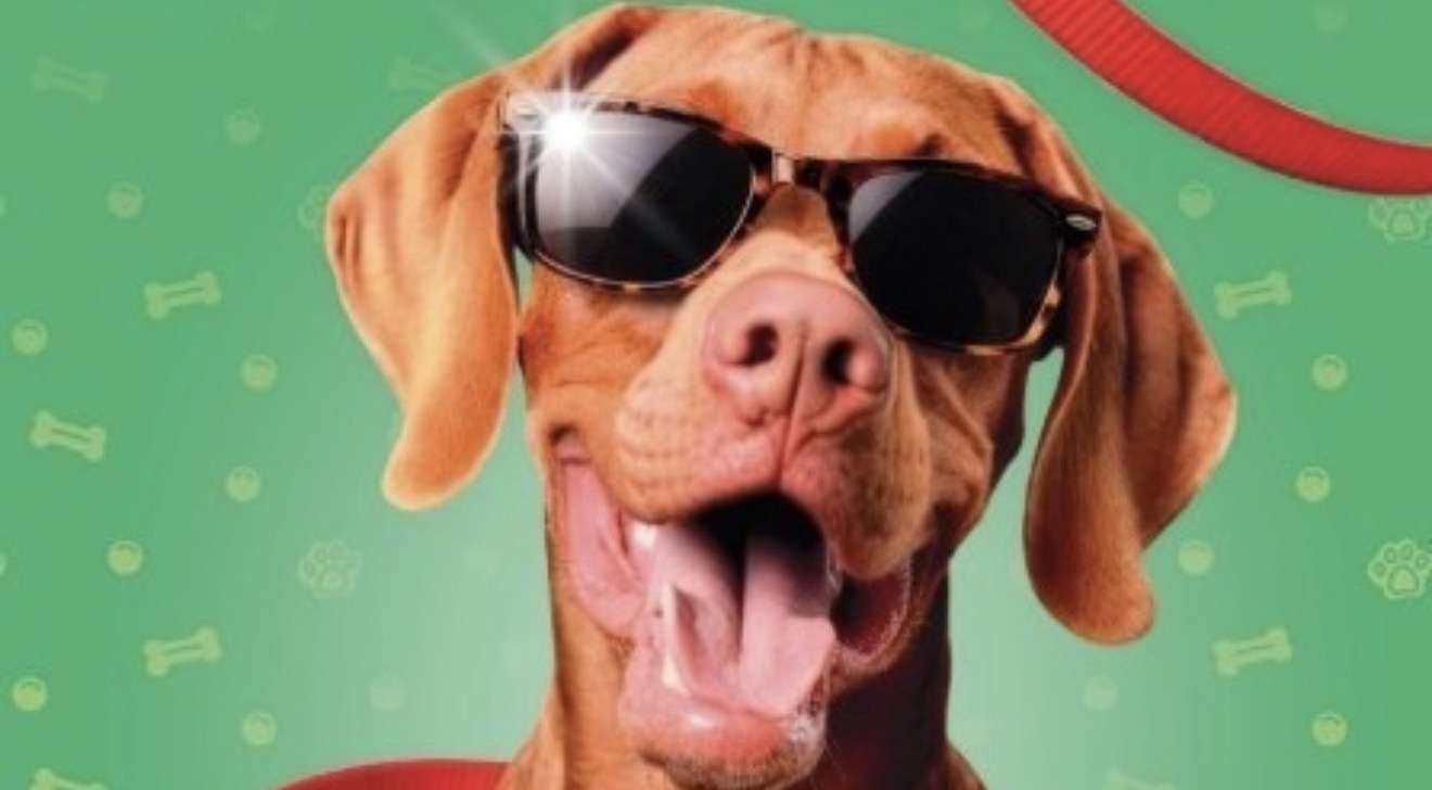 L’Arca di Noè in Tour, l’evento nazionale per la prima volta al Centro Commerciale Area 12