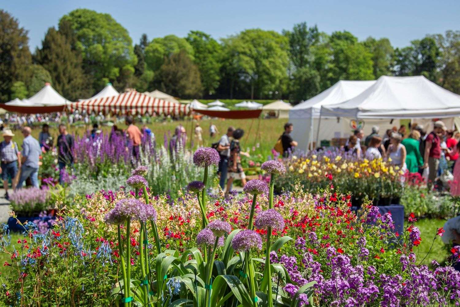 Il ponte del 1° maggio a Caravino con la Tre Giorni per il Giardino 2026