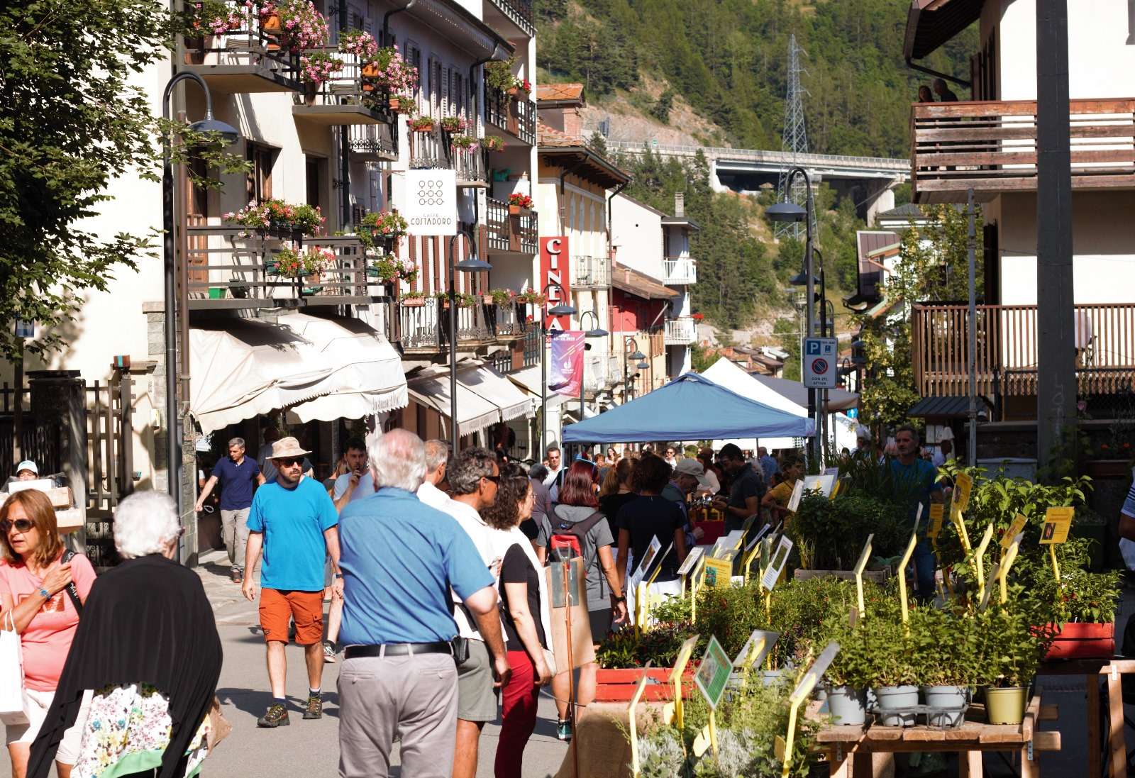 Flor Estate torna per il nono anno a Bardonecchia: appuntamento domenica 12 luglio