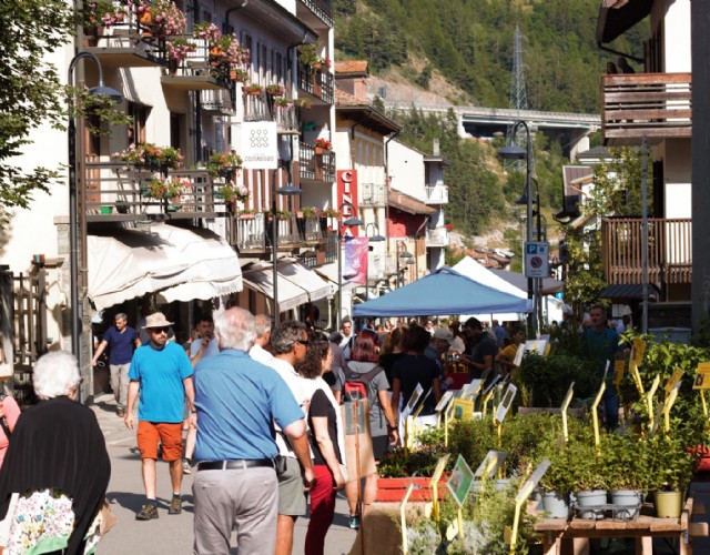 mercatini