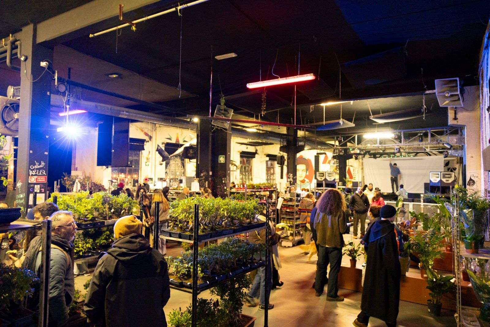 Ai Murazzi torna il Botanical Groove, la mostra mercato dedicata all’universo delle piante