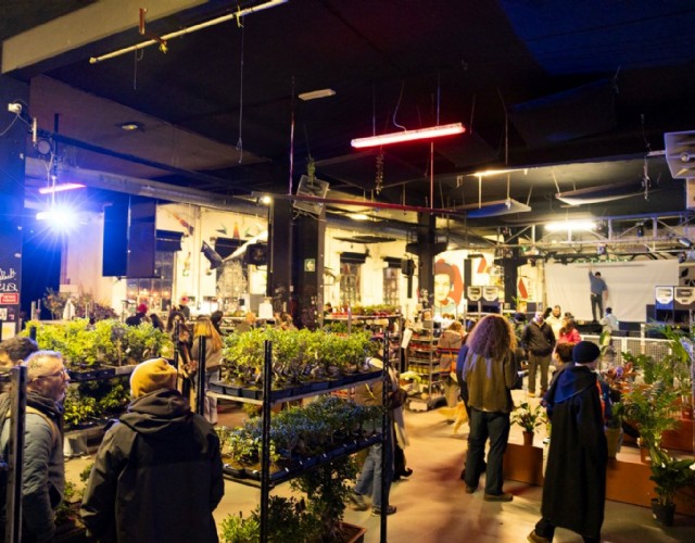 Ai Murazzi torna il Botanical Groove, la mostra mercato dedicata all’universo delle piante