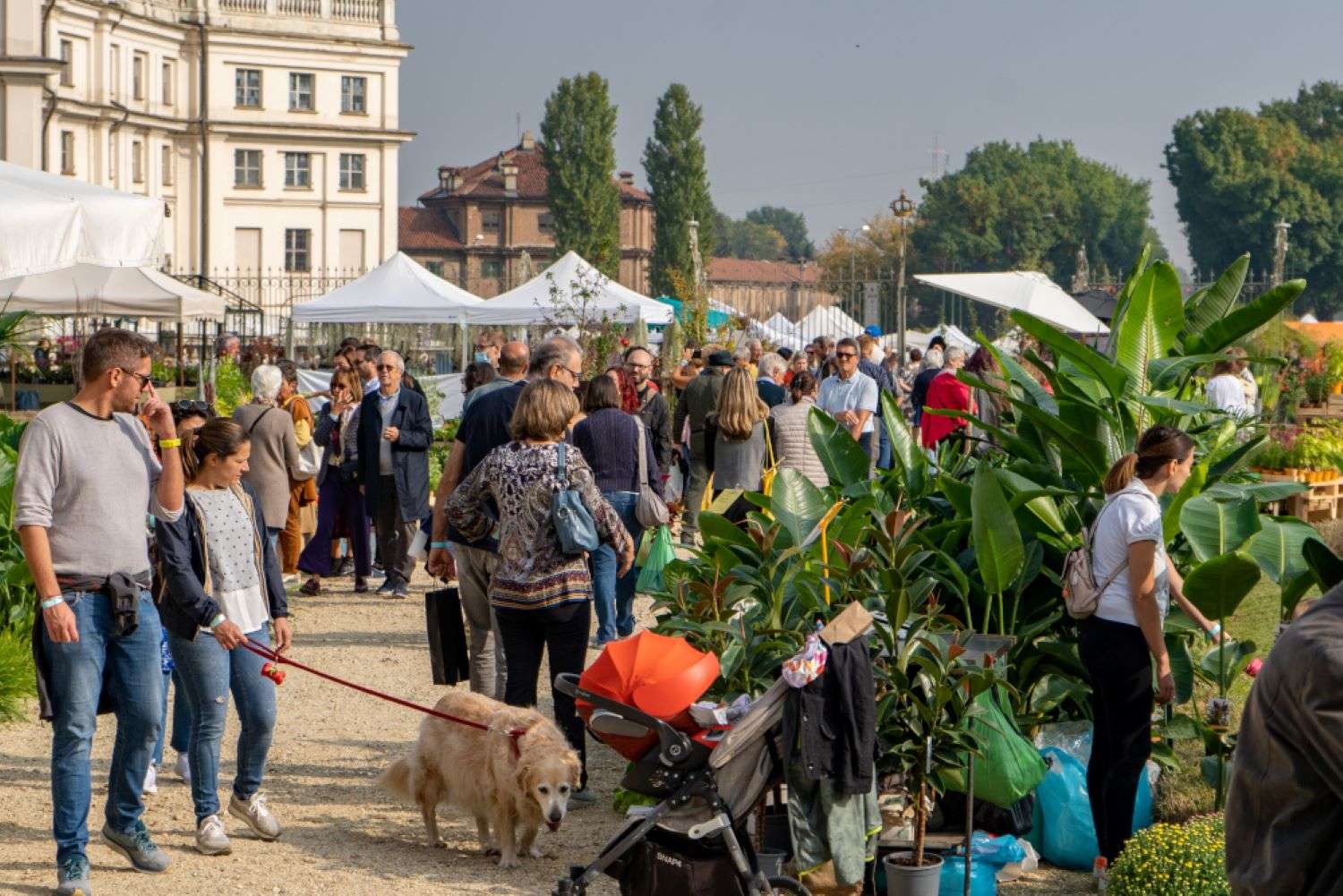 FLOReal, la manifestazione che racconta la natura, alla Palazzina di Caccia di Stupinigi