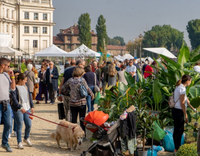 eventi