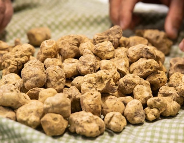 La Fiera del Tartufo Bianco di Alba conferma le sue date dal 9 ottobre al 5 dicembre