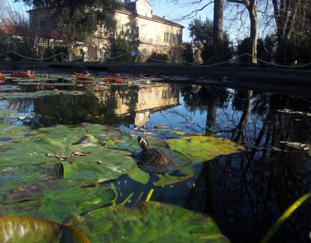 Il weekend di Ferragosto da passare all'Orto Botanico di Torino