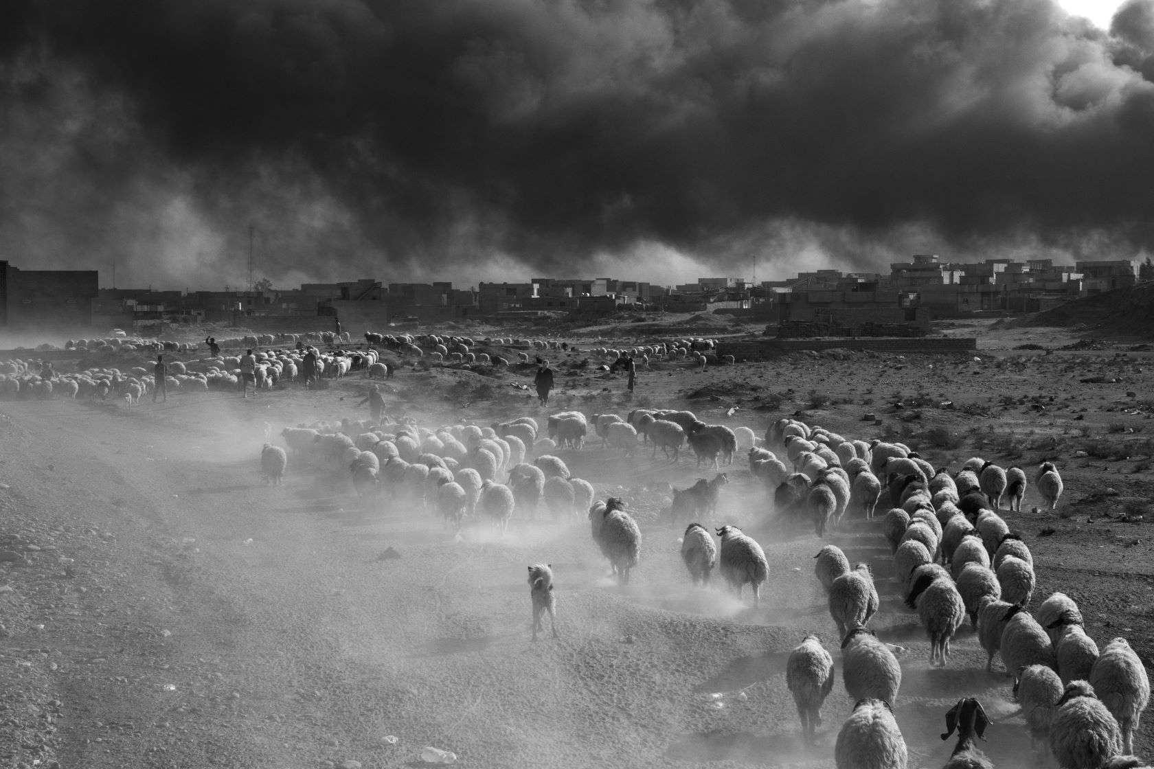 Reggia di Venaria: ultimi dieci giorni per ammirare le drammatiche fotografie sull'Afghanistan di Paolo Pellegrin