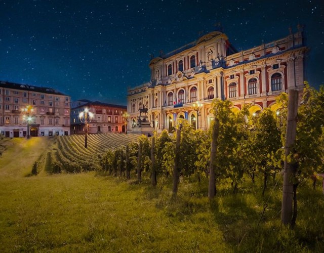 Torna la Torino Wine Week, una settimana per il frutto di Bacco