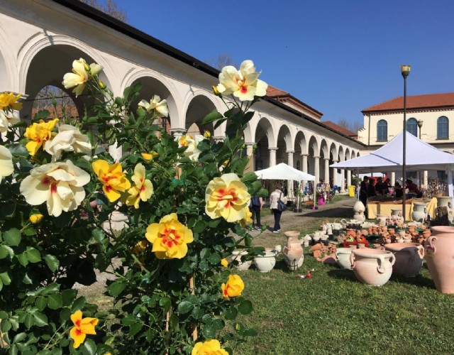 E' primavera e a Collegno tornano i colori di Follia in Fiore